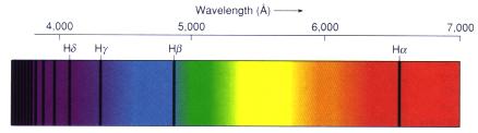 H-absorption