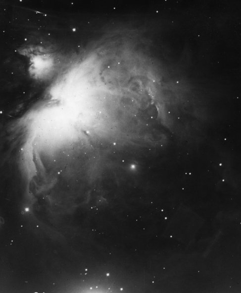 Orion Nebula