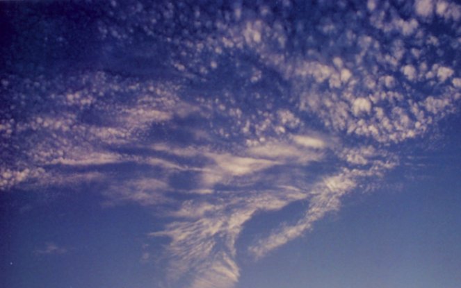Flocked clouds
