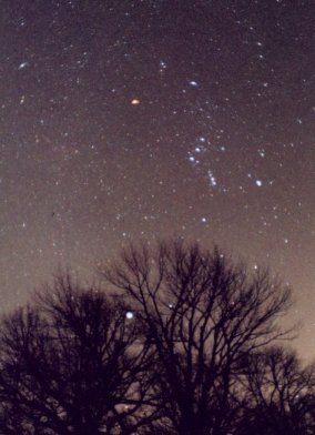 Orion and Trees