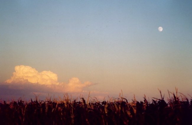 Prairie Moon